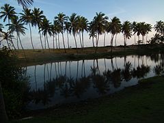 Praia de Sauípe - Bahia.jpg