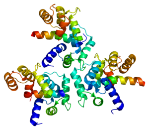 Protein CACNA1D PDB 2be6.png