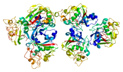 Protein FCN2 PDB 2j0g.png