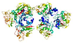 Белок FCN2 PDB 2j0g.png