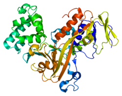 Протеин GDI1 PDB 1d5t.png