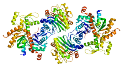 zweites Mitglied der Wiskott-Aldrich-Syndrom-Proteine