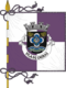 Flag of the Concelhos Oeiras