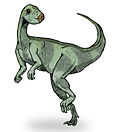 Miniatura para Qantassaurus intrepidus