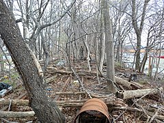 Reuse of the line after over 50 years of closure will require extensive rebuilding. RBB above Metro Av jeh.JPG