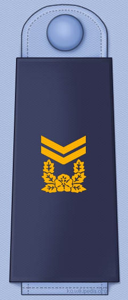 Tập_tin:ROKAF_insignia_Master_Sergeant.jpg