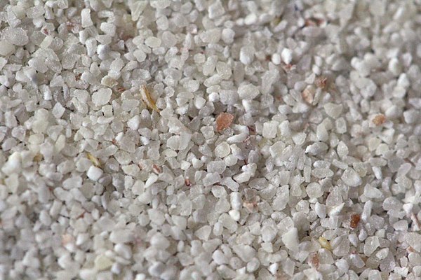 Semolina grains in close-up