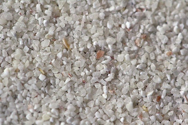 Semolina grains in close-up