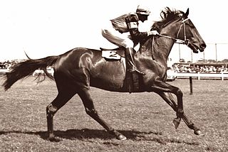 <span class="mw-page-title-main">Rising Fast</span> New Zealand-bred Thoroughbred racehorse