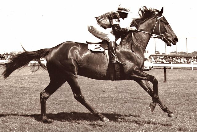 Melbourne Racing Club - Caulfield Racecourse Reserve