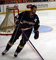 Rob Niedermayer of the Anaheim Ducks.