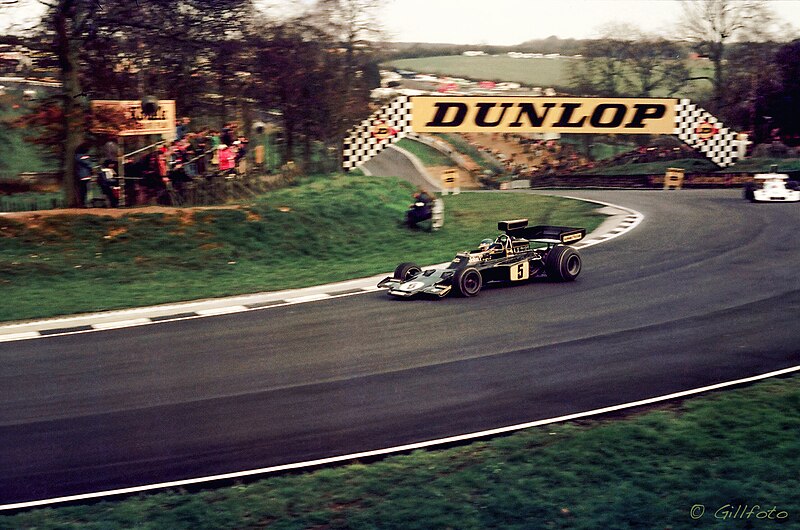 File:Ronnie Peterson Lotus 5 BH 250.jpg