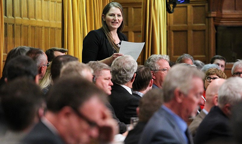 File:Rosemarie Falk in the House of Commons - 2018 (26120505928).jpg