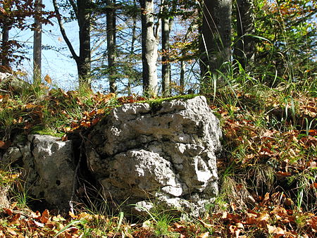 Ruine Schellenburg GO 1