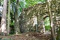 Ruine Schwarzenöd bei Schmerbach, Gemeinde Pölla, Niederösterreich