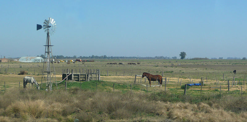 File:Ruta Fortín Olavarría - Trenque Lauquen 55 molino caballos galpón.JPG