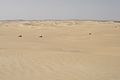 Sahara desert (2007-05-110) (869645171).jpg