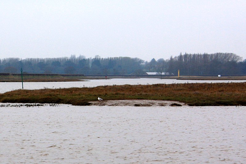 File:Salt marsh and sky, the Hamford Water National Nature Reserve - panoramio (3).jpg