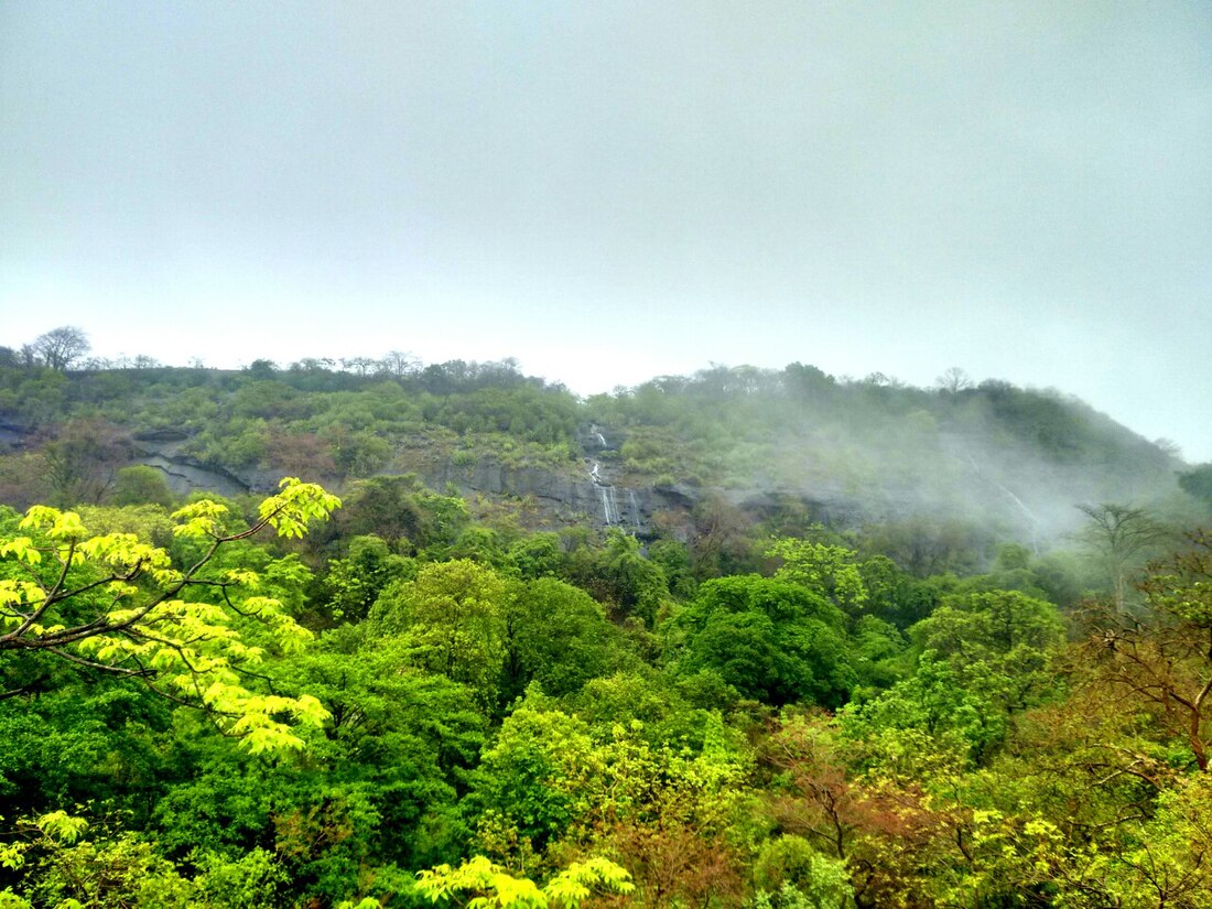 Parc national Sanjay Gandhi