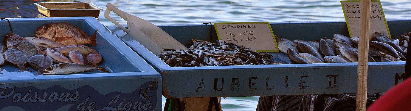 Fish market in Vieux-Port of Marseille