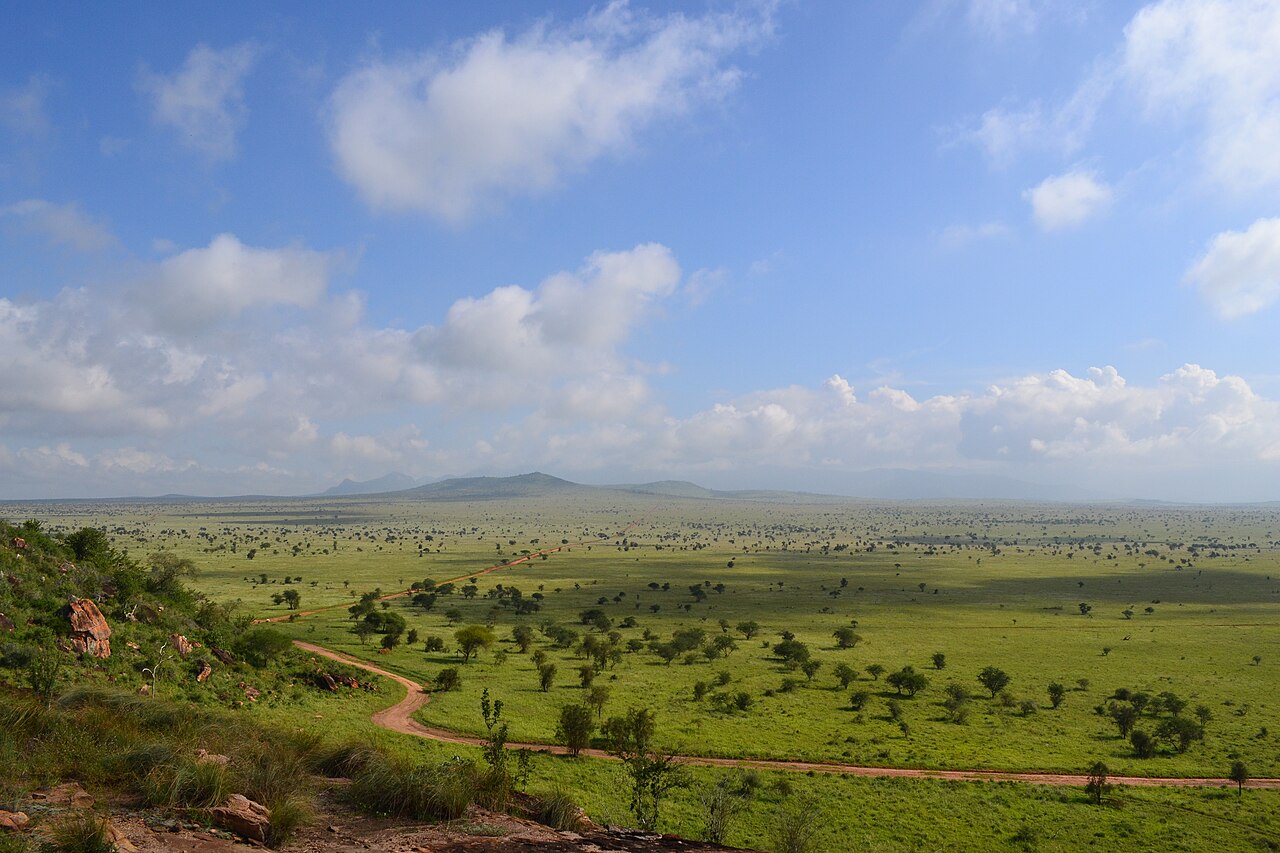 View of the savanna within the LUMO Community Wildlife Sanctuary. Credit: Christopher T Cooper.