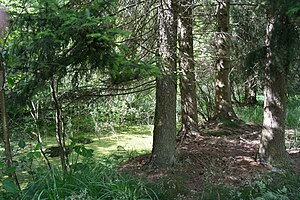 Schleswig-Holstein, Hohenfelde, Landschaftsschutzgebiet Hohenfelder Moor NIK 7009.JPG