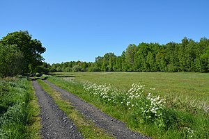 Schleswig-Holstein, Tellingstedt, Landschaftsschutzgebiet Großes Moor Kätner Moor NIK 7092.jpg