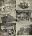 Seattle - Mitchell Lewis & Staver - 6 images - 1900.jpg