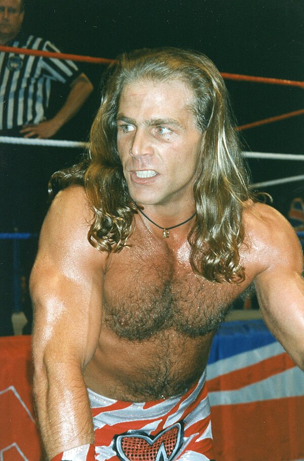 Shawn Michaels became one of the biggest star in WWF during this time, since an iconic ladder match at WrestleMania X.