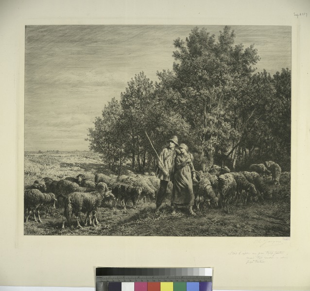 File:Shepherd and girl with flock of sheep (NYPL Hades-575121-1227169).tiff