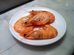 Udang