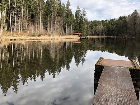 Siegertshofer Weiher