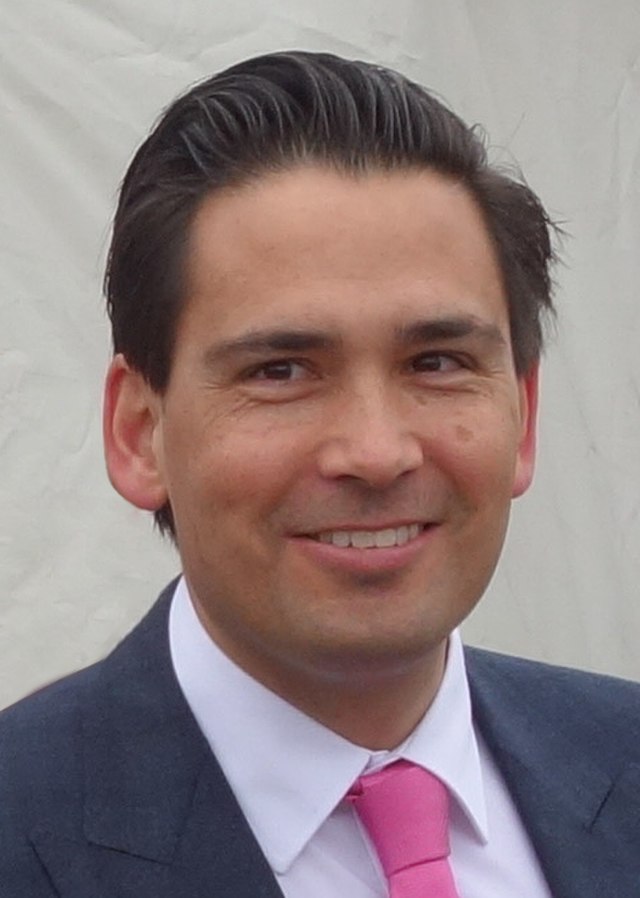 Simon bridges