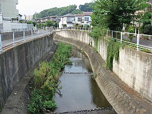 真光寺川 2006年8月24日撮影