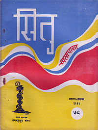 Cover of Situ dated April–May 1991.