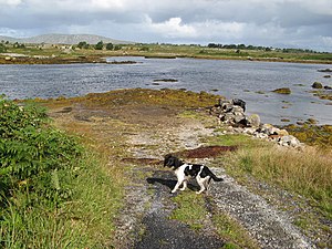 Slipway at the end of the road - geograph.org.uk - 1435551.jpg