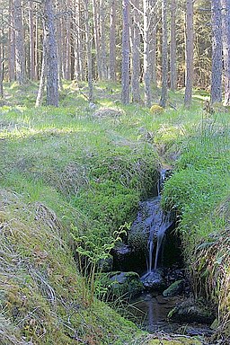 Small Stream, Rannoch Forest - geograph.org.uk - 1892713