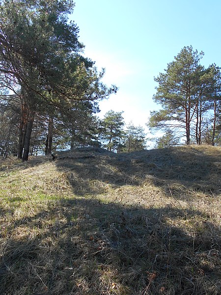 File:Smilyans'kyi district, Cherkas'ka oblast, Ukraine - panoramio (55).jpg