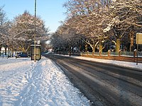 Schneebedeckte A1130 in Richtung Norden zur A66