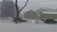 Fișier: Snowstorm2021.webm