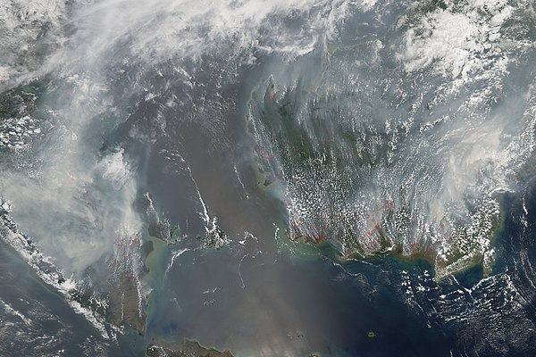 Slash-and-burn based shifting cultivation is a widespread historical practice in southeast Asia.[1] Above is a satellite image of Sumatra and Borneo showing shift cultivation fires from October 2006.