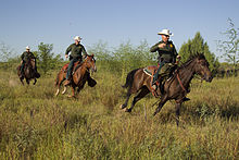 A USBP horse patrol in southern Texas South Texas, Border Patrol Agents, McAllen Horse Patrol Unit.jpg