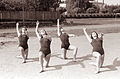 Srednja šola za telesno vzgojo v Mariboru 1961 (1).jpg
