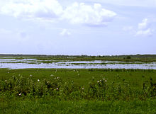 The St. Johns immediately south of Sanford shows a narrow channel with large areas of aquatic plants and wetlands.