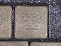 image=https://commons.wikimedia.org/wiki/File:Stolperstein_Else_Gr%C3%BCnewald,_1,_Weserstra%C3%9Fe_2,_Beverungen,_Landkreis_H%C3%B6xter.jpg