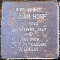 Stumbling Stone Rose, Susan.jpg