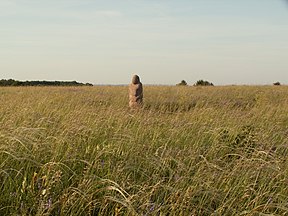 Steinfigur "Streleckaja Baba" im Teilgebiet des Streleckij učastok