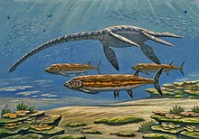 Large predators of the late Cretaceous, Pliosauroidea and Xiphactinus Styxosaurus and Xiphactinus.jpg