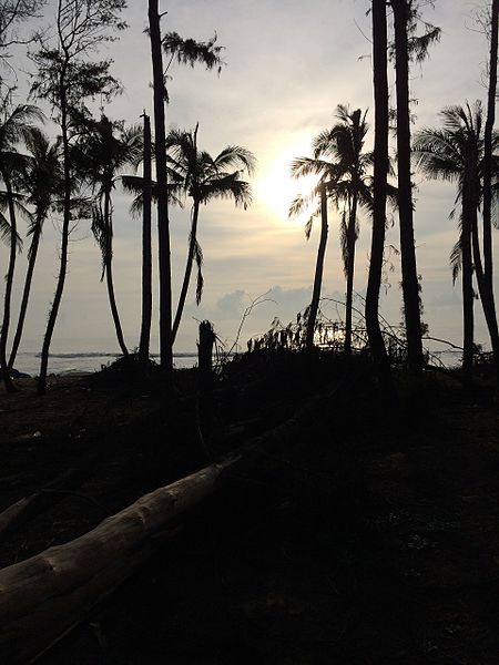 File:Sunrise at the beach.jpg