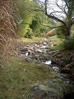 A source arm of the Käsenbach within the new Tübingen Botanical Garden